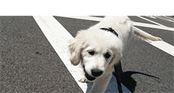 Desktop Screenshot of dogwalkingdo.com